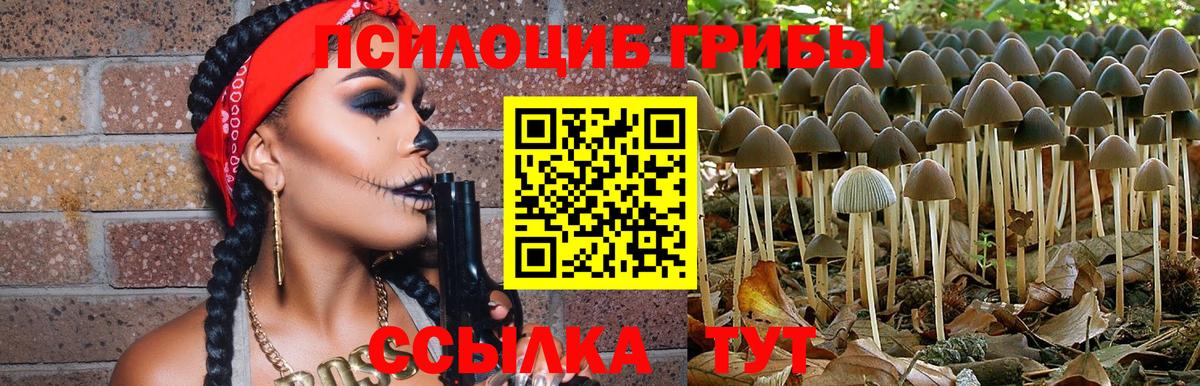 Псилоцибиновые грибы Cubensis Волоколамск